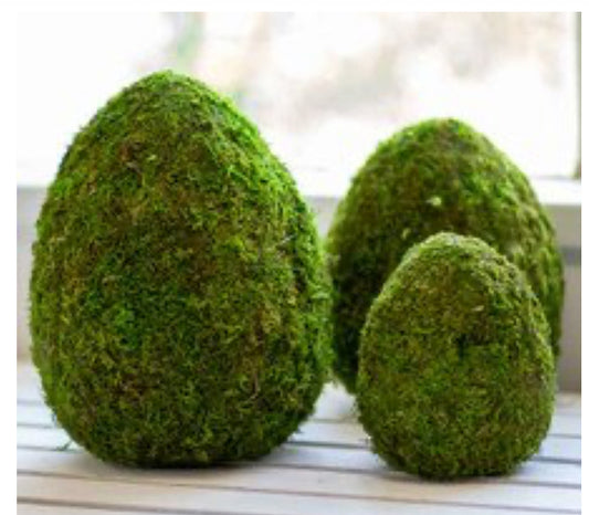 Moss Egg Decor